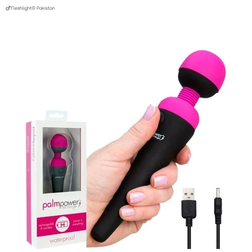 Palmpower Corded Massager In Pakistan